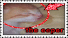 'the eeper' text, over a picture of a sleeping kitten